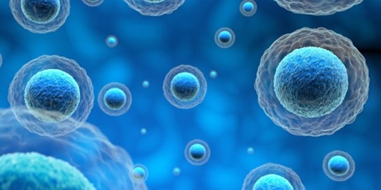 CIENCIA – Como se creó la vida en la tierra